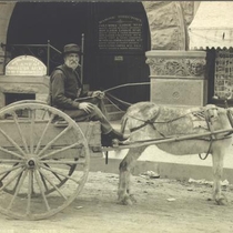 Donkey carts with unidentified people: Photo 11
