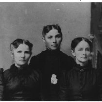Andrew Wise Family Virtual Photograph Collection Wife and twins: Photo 2