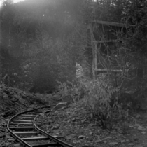 Junius Lewis Mine: Photo 1