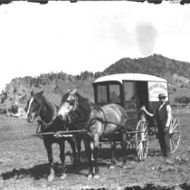 Delivery wagons dairy: Photo 2 (S-2760)