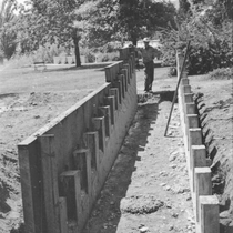 Travis Virtual Photograph Collection near the Band Shell: Photo 3