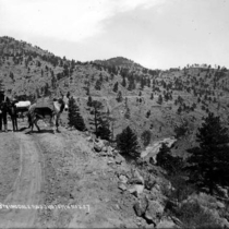 Springdale mountain views: Photo 1