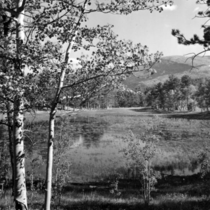 Allenspark lakes and streams: Photo 3