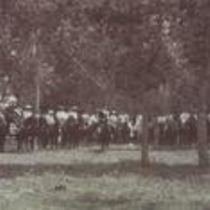 Fourth of July celebration at Andrus Grove, 1897