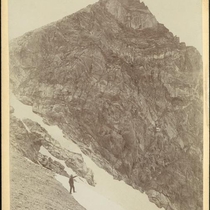 David Reynolds Virtual Collection: Part 3, Photo 3