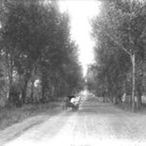 Roads
