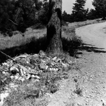 Nederland town views, 1960-1965: Photo 2