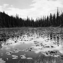 Rocky Mountain National Park snapshots: Photo 4