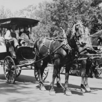 Fourth of July Coaches and wagons, 1933: Photo 6