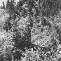 Views of Baird Park and Chautauqua Heights photographs, [between 1890 and 1930]