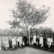 University Hill School tree ceremony: Photo 3