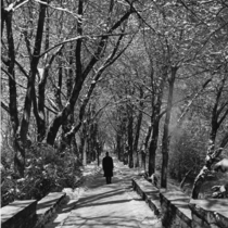 University of Colorado Varsity Lake, with Sandstone Bridge in Snow: Photo 2