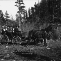 Six-passenger wagons in the mountains: Photo 2 (S-2705)