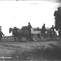 Delivery wagons beer: Photo 2 (S-2692)
