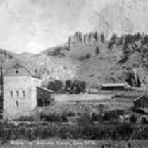 Colorado State Mills