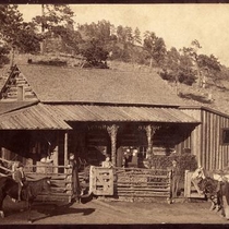 Mary Cady Dunbar Virtual Photograph Collection