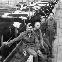 Agriculture