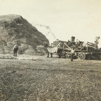 Stolns Family Virtual Collection: Threshing, Photo 2