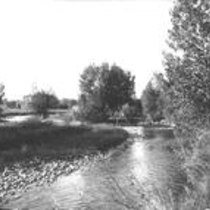 Creek in summer