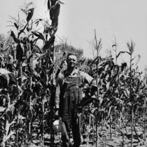 Agriculture