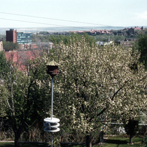Schoolland Slide Collection Panoramas from Chautauqua or Flagstaff: Photo 2