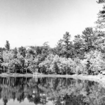 Allenspark lakes and streams: Photo 2