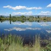 Sawhill Ponds Wildlife Preserve