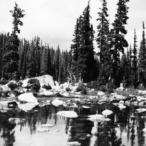 Rocky Mountain National Park snapshots: Photo 1