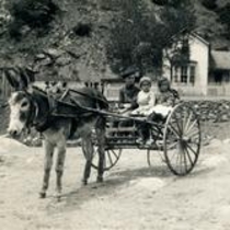 Bernard & Grace (Hoover) Meyring virtual photograph collection