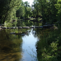 Evert Pierson Kids' Fishing Pond: Photo 1