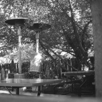 Dot's Diner: Photo 1
