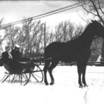 One-horse sleighs