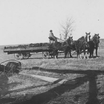 Farms