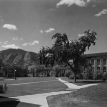University of Colorado campus views after 1930: Photo 5