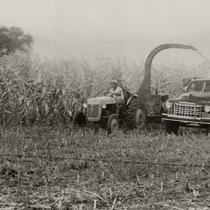Agriculture tractors: Photo 2