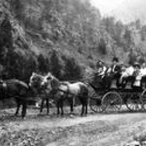 Excursion wagons