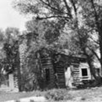 Niwot log cabin