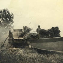 Stolns Family Virtual Collection: Threshing, Photo 3