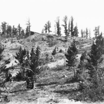 Banner Mine (Ward, Colo.)
