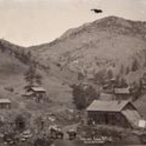 Salina