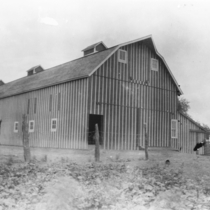 Farming in Niwot: Photo 5
