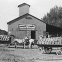 Farming in Niwot