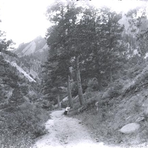 Views on the Quarry Road: Photo 2