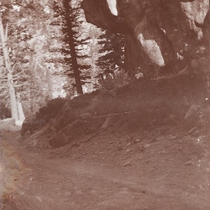 Eldorado Springs photograph album: Photo 14