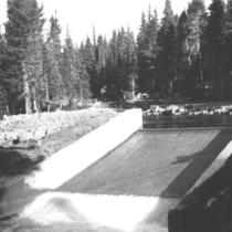 Water supply Silver Lake Creek weir photographs 1950-1958: Photo 5