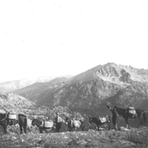 Wheeler Basin, Colorado: Photo 5