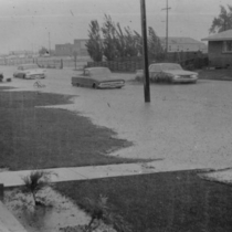 Floods photographs 1962-1966: Photo 13