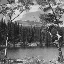 Northwest Boulder County, outside Allenspark area: Photo 5