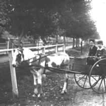 Donkey carts with unidentified people: Photo 7 (S-2491)