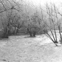Flood of 1957 Boulder Creek: Photo 4